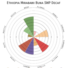 Berry Bright -Ethiopia Mirabawi Buna SWP