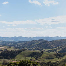 Mellow Morning - Decaf Coffee Beans